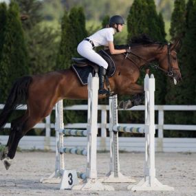 Знижка у розмірі 40% на заняття від Кінного Клубу «КСК Вінничина»